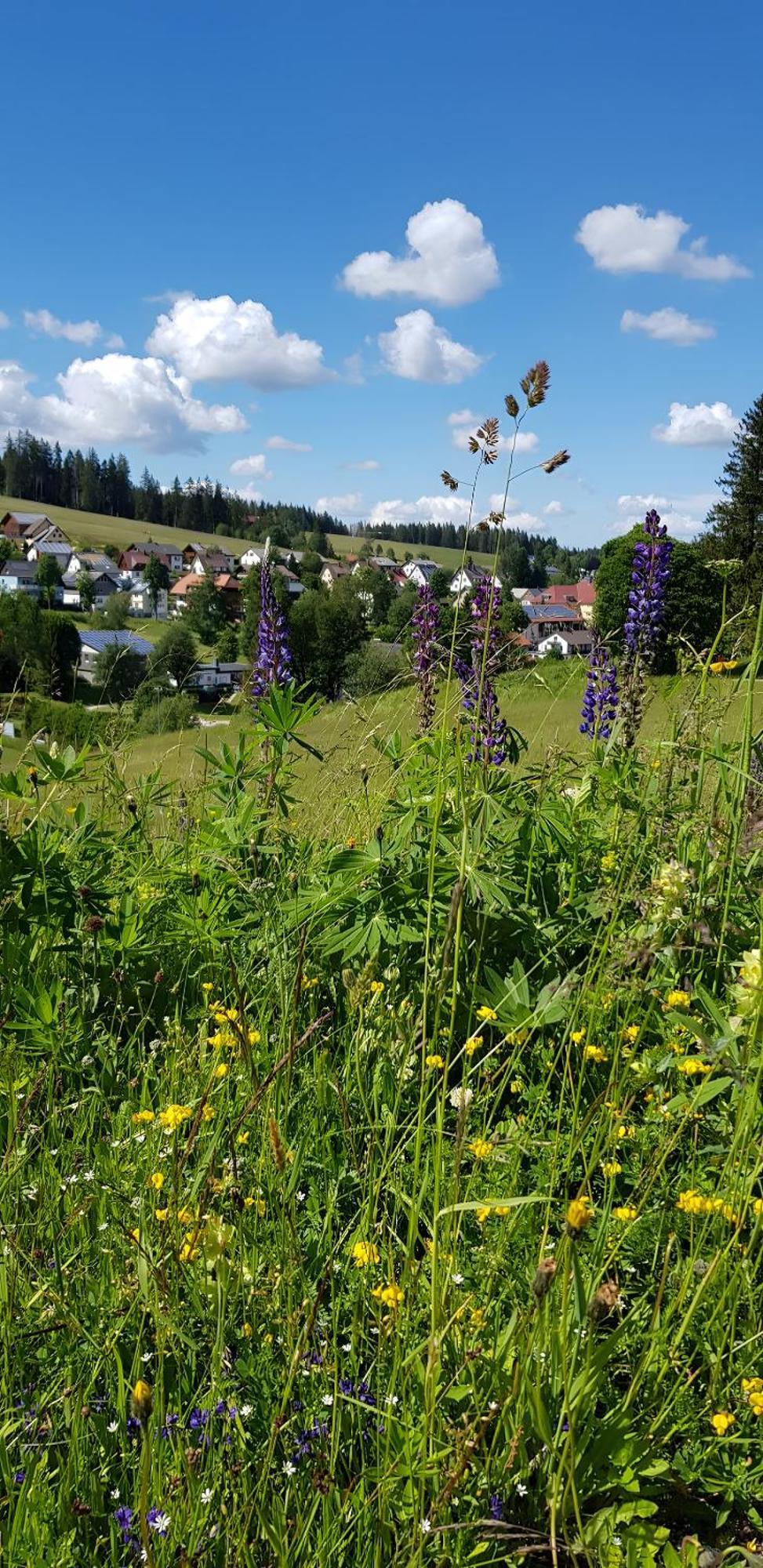 Ferienwohnung Morgensonne Schönwalde Zewnętrze zdjęcie